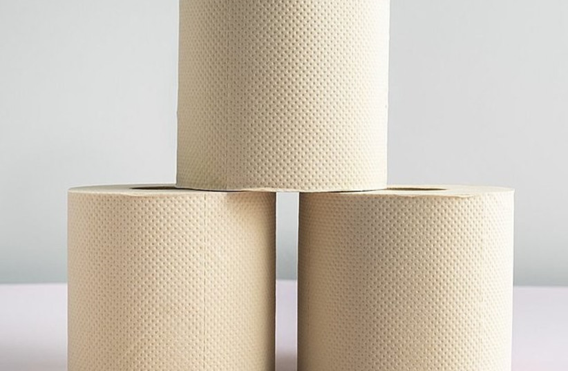  Bamboo compostable toilet paper.  (photo credit: Wikimedia Commons)