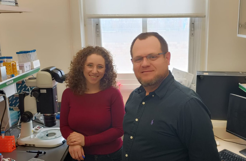  Doctoral student Peera Wasserzug-Pash, left, and Dr. Michael Klutstein, head of the Chromatin and Aging Research Lab in the Faculty of Dental Medicine at the Hebrew University of Jerusalem. (credit: HEBREW UNIVERSITY)