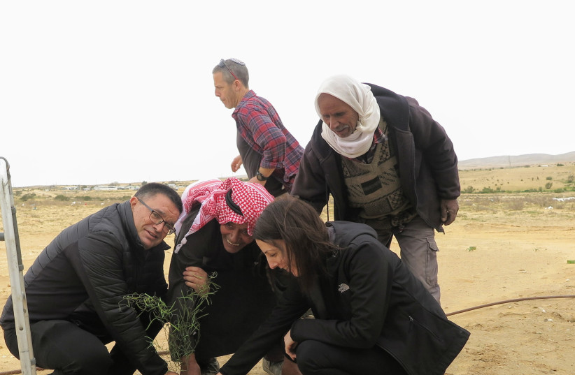  A JOINT Rahme-Yeruham Tu Bishvat tree planting at the establishment of the Rahme School, Feb. 2020. Former Yeroham mayor MK Michael Biton (L) and current Mayor Tal Ohana plant a seedling with Rahme Residents Committee head Sheikh Odeh Zanun. (credit: SEFI SHLAYVIN )