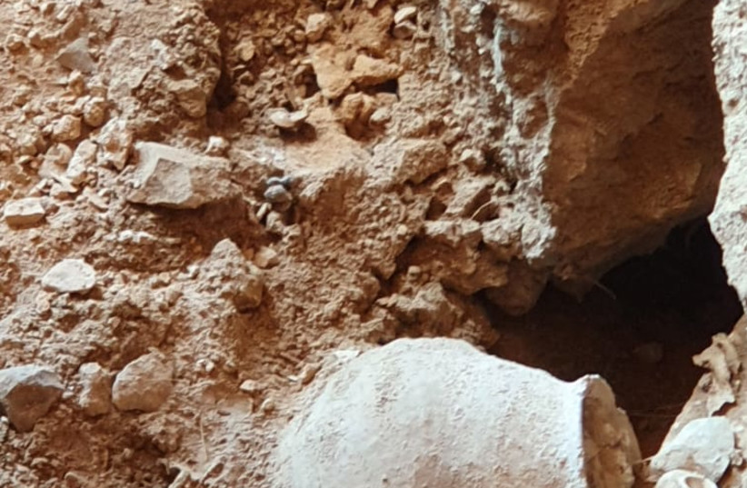  An intact 5000-year-old jug which was discovered by an American tourist in the Judean Desert after a section of a cave wall collapsed. (photo credit: Amir Ganor/Israel Antiquities Authority)