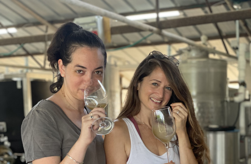  FAIRIES TASTE the wine they made at Kerem Barak winery. (credit: Courtesy Wine Fairies)