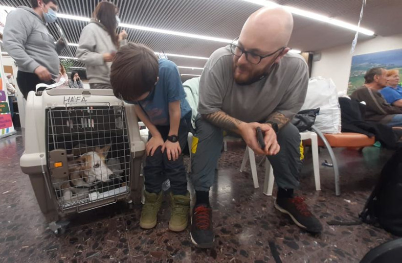  Ukrainian refugees waiting with their pets at Ben Gurion Airport (photo credit: ALIYAH AND INTEGRATION MINISTRY)
