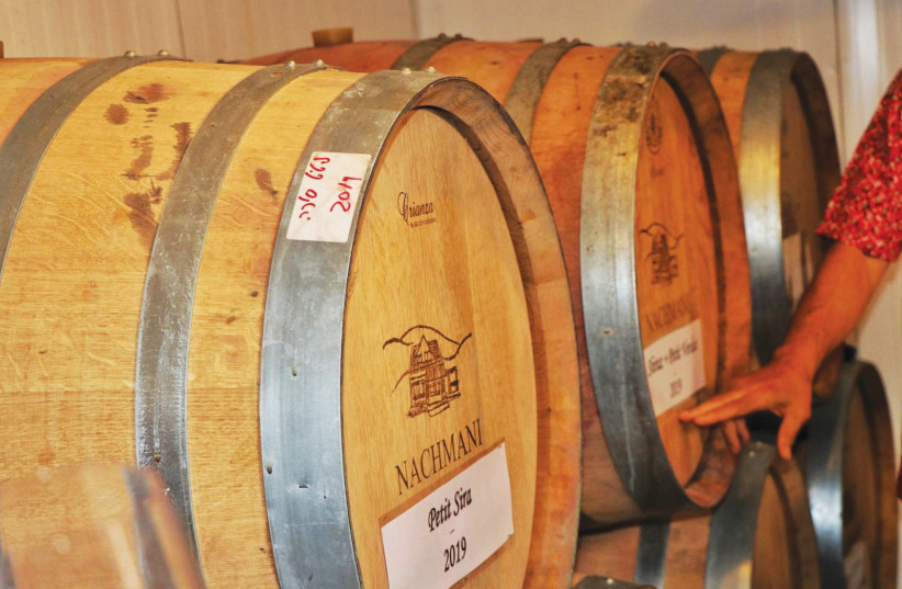  BARREL ROOM at the small, domestic winery. (credit: Nachmani Winery)