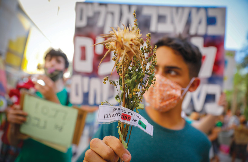 This week in Jerusalem: Saved by the committee - Vimarsana News
