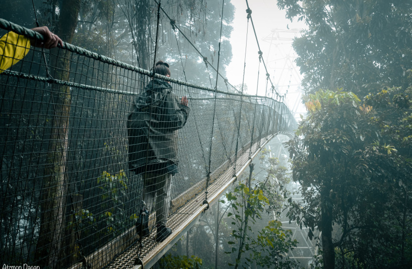  The Canopy Walkway, a 160m long and 70m high suspension bridge, the longest in Africa, in the Nyungwe National Park.  (credit: ATZMON DAGAN)