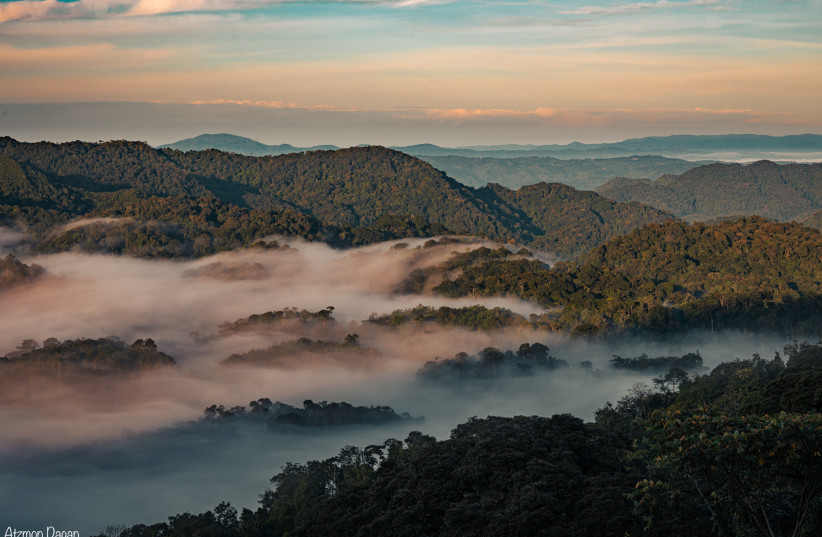 Fog covers the land of a thousand hills. (photo credit: ATZMON DAGAN)