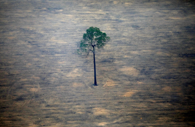 An aerial view shows a deforested plot of the Amazon near Porto Velho, Rondonia State, Brazil, September 17, 2019.  (photo credit: REUTERS/BRUNO KELLY/FILE PHOTO)