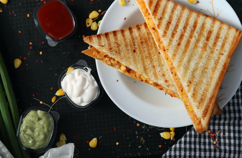  A toasted sandwich (photo credit: Pixzolo Photography/Unsplash)