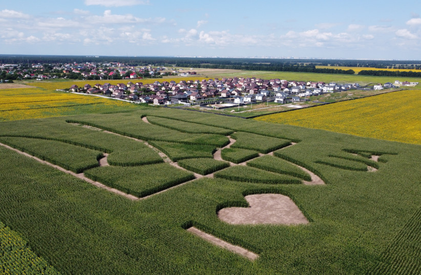 An aerial view shows corn stalks planted by Ukrainian farmers in the shape of the national coat of arms, trident, ahead of the country's 30th anniversary of independence, in a field near Boryspil International Airport outside Kyiv, Ukraine July 22, 2021. (credit: REUTERS/GLEB GARANICH)