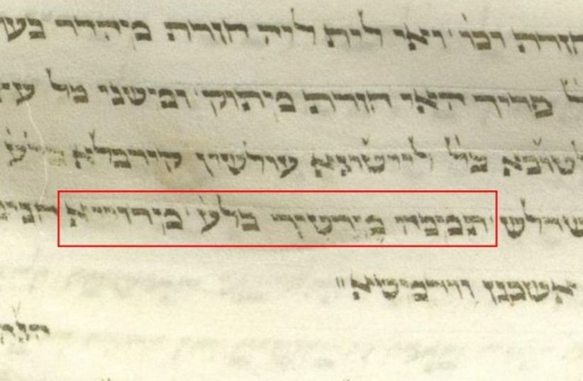 Maror was identified as “Meerrettich” in Hagagot Maimoniot, the earliest Ashkenazi gloss on Maimonides. From the Frankfurt a. M. Universitätsbibliothek (Fol. 15 – 227v). (credit: NATIONAL LIBRARY OF ISRAEL DIGITAL COLLECTION)