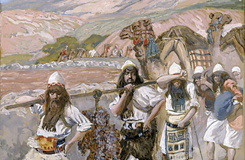  The Grapes of Canaan by James Tissot (circa 1900). Although the 12 spies brought back a cluster of grapes so large that it took two men to carry it, only two of the 12 brought back a good report of the land. (photo credit: WIKIPEDIA)