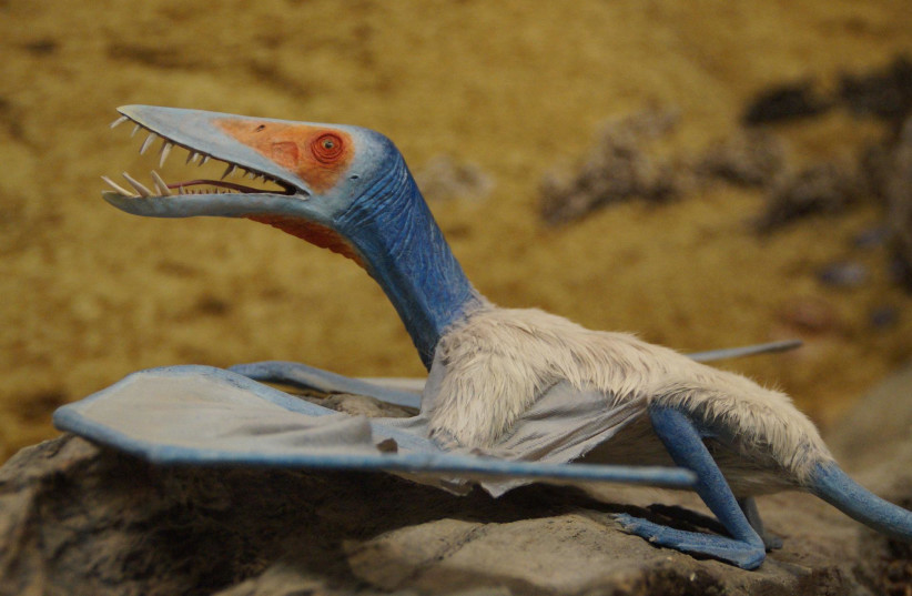  Pterosaur (Illustrative). (photo credit: PIXABAY)