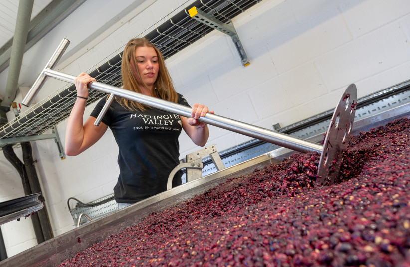 Wine Talk: Times they are a-changin' - The Jerusalem Post - Vimarsana News