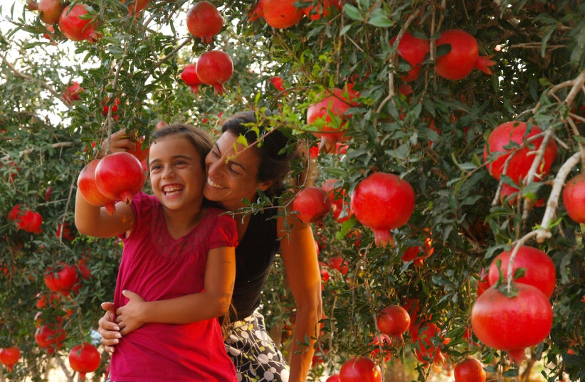 Jewish National Fund-USA celebrates women's month - The Jerusalem Post - Vimarsana News