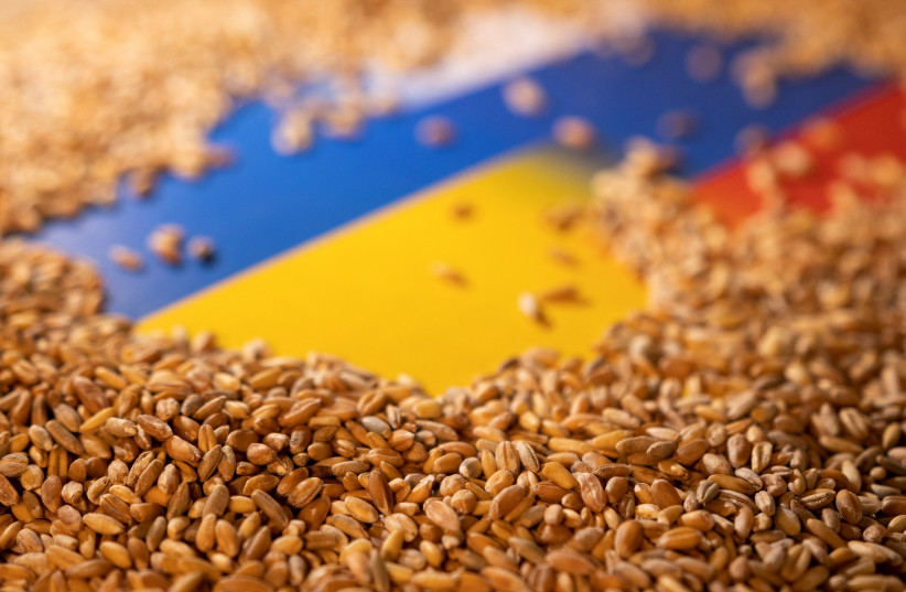  Grain is placed on Ukrainian and Russian flags in this picture illustration taken May 9, 2022.  (credit: REUTERS/DADO RUVIC/ILLUSTRATION)