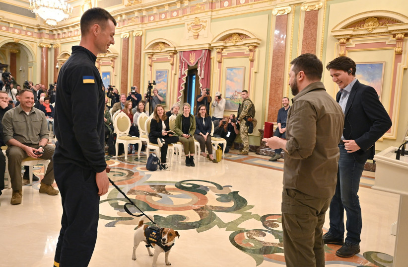  Canadian Prime Minister Justin Trudeau and Ukraine's President Volodymyr Zelensky award service dog "Patron" during a news conference, as Russia's attack on Ukraine continues, in Kyiv, Ukraine May 8, 2022.  (photo credit: Ukrainian Presidential Press Service/Handout via REUTERS)