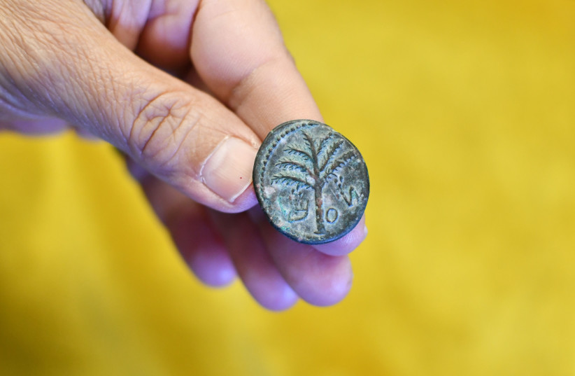  Coin of Rabbi Shimon Bar Yochai found at the home of an illegal antiquities dealer in Modi'in. (credit: YOLI SCHWARTZ/IAA)