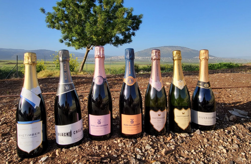  THE ENGLISH sparkling wines in the tasting, with Mount Tabor in the distance. (photo credit: MOSHE COHEN)