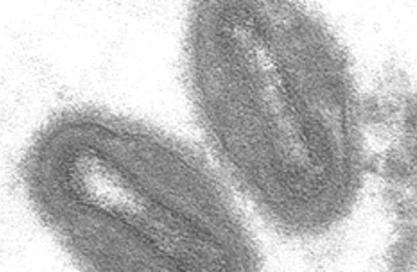  Electron micrograph of monkeypox virus. (photo credit: Wikimedia Commons)