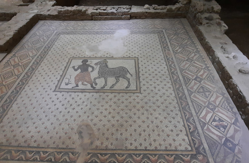  Mosaic floor of Roman villa depicting servant leading a Zebra. (photo credit: JUDITH SUDILOVSKY)