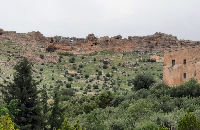 Noah's ark, prophets and pigeons - The Jerusalem Post - Vimarsana News
