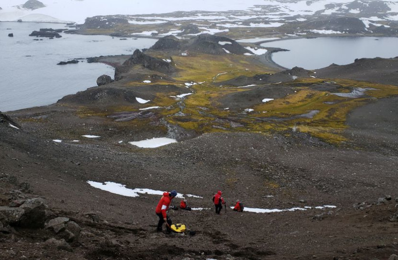  Scientists from the University of Chile collect organic material as they look for a bacteria discovered in Antarctica, January 13, 2019. (photo credit: REUTERS)