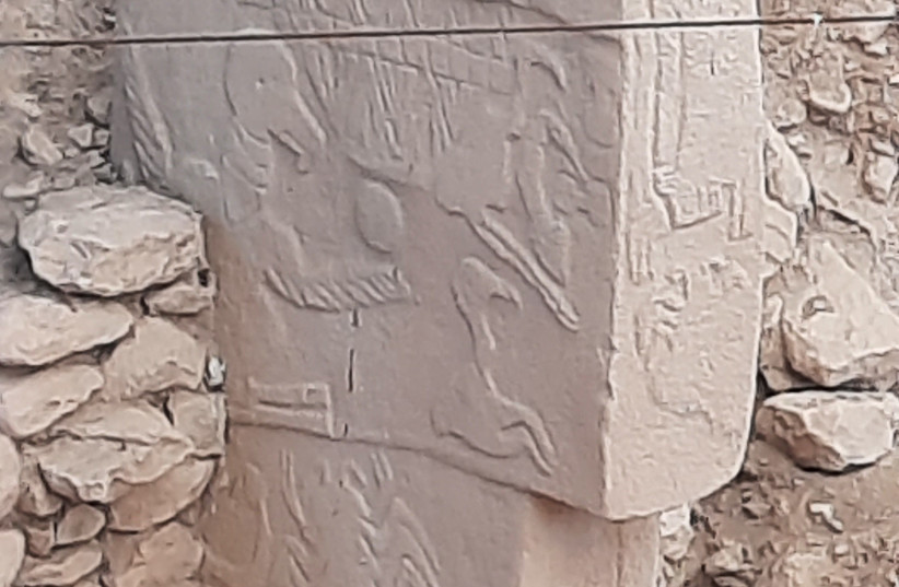 Monumental pillar at Göbeklitepe carved with a bald Ibis carrying off the head of a dead person. (credit: JUDITH SUDILOVSKY)