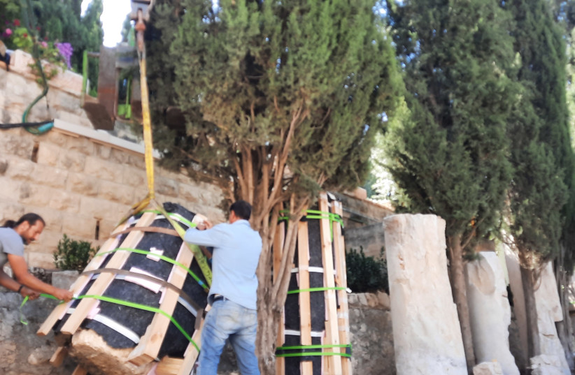  Italian restoration expert Pietro Coronas and restoration team member taking care of first capital to be lifted. (credit: JUDITH SUDILOVSKY)