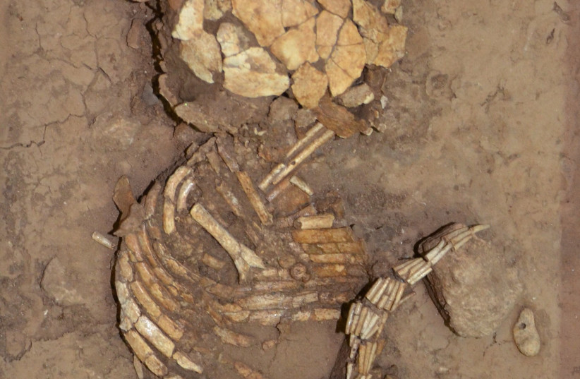 Burial of an infant with a strand of Dentalium shells Eynan, Natufian culture, ca. 15,000–11,700 years ago, Collection of Israel Antiquities Authority, on loan from the Upper Galilee Museum of Prehistory, Ma‘ayan Barukh. (credit: GONEN SHARON)
