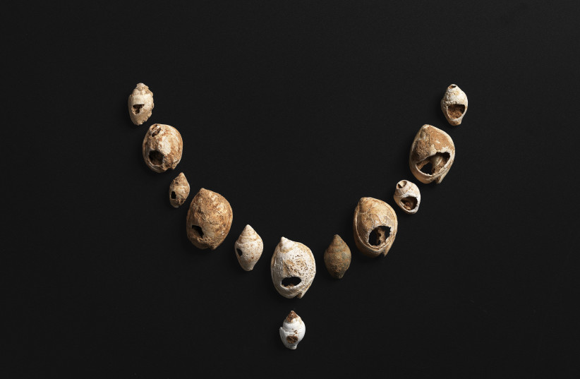  Tritia gibbosula and Columbella rustica shell beads Manot Cave, Levantine Aurignacian culture, 37,000–33,000 years ago, Collection of Israel Antiquities Authority (photo credit: ELIE POSNER)