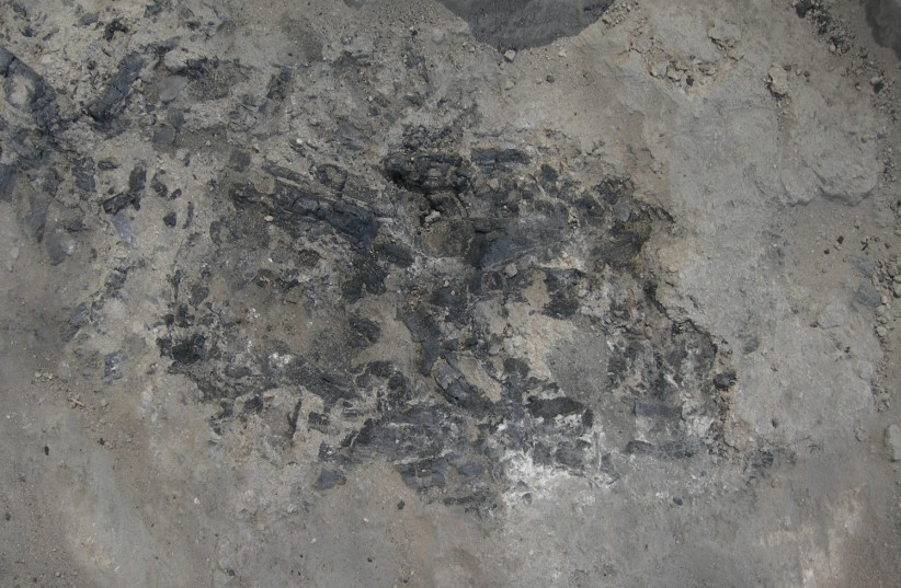  7,000 years-old hearth remains at the village of Tel Tsaf. (credit: YOSEF GARFINKEL)