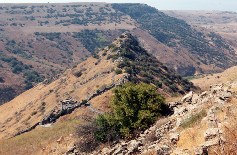  ‘SCOUTING’ THE Land of Canaan: On the Golan Heights. (photo credit: YOSSI ZAMIR/FLASH90)
