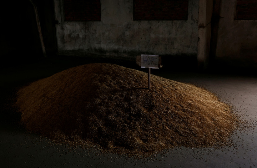 Wheat grain is pictured at a warehouse in Bashtanka, Mykolaiv region, as Russia's attacks on Ukraine continue, Ukraine, June 9, 2022. (photo credit: REUTERS/EDGAR SU/FILE PHOTO)