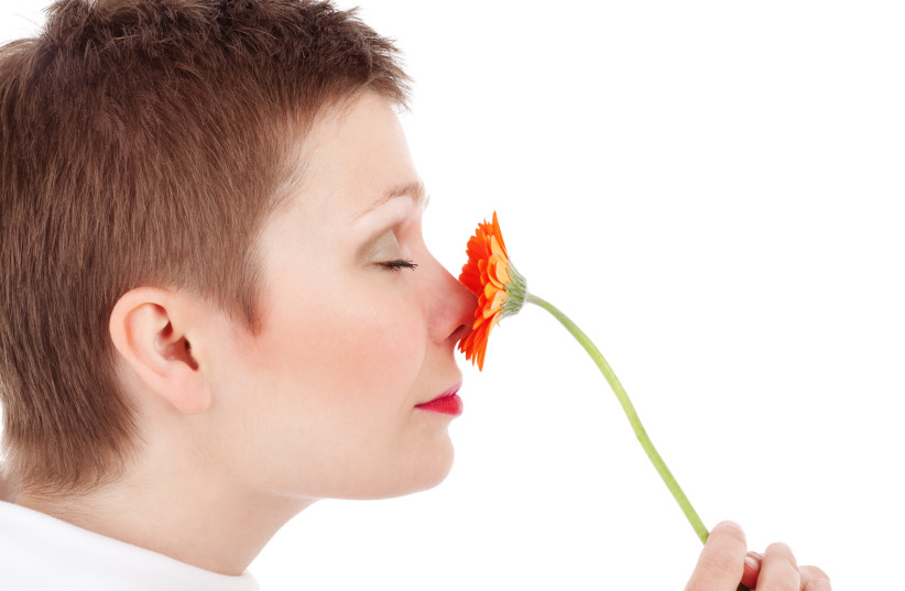  Illustrative image of a person smelling a flower. (photo credit: PXHERE)