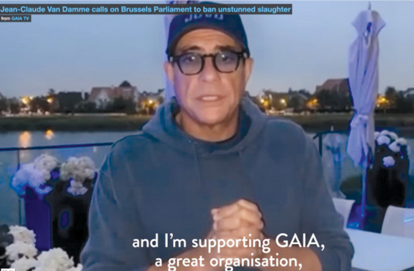 Belgian actor Jean-Claude Van Damme appears in a video distributed by animal rights organization GAIA urging the Brussels Parliament to ban ritual slaughtering of animals. (credit: SCREENSHOT/GAIA)
