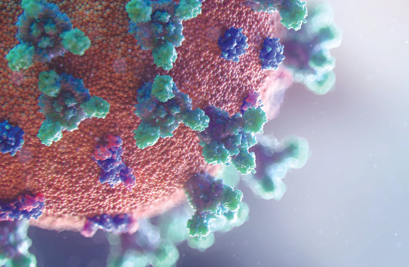  SARS-CoV-2, the novel coronavirus behind COVID-19 (Illustrative). (credit: fusion medical animation/unsplash)