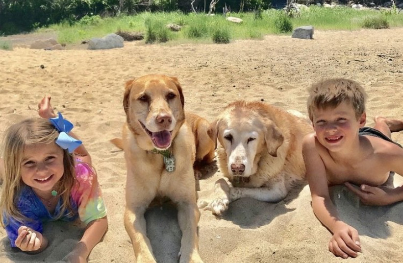  The writer’s grandchildren, Lucy and Jackson, with their dogs. ‘Any kid can tell you, dogs can be our best friends,’ he says. (photo credit: ANNA GLASER)