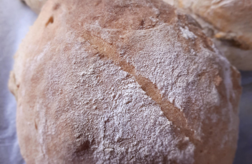  Basic bread (credit: HENNY SHOR)