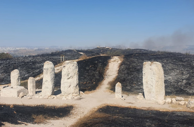  Hundreds of dunams of the Tel Gezer National Park were destroyed by a fire started by a pruning fire at a neighboring moshav. (photo credit: Roee Shtrauss, Sharon regional director of the INPA)