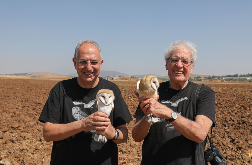  (L-R) Cypriot Minister of Agriculture, Rural Development and the Environment Prof. Costas Kadis, and TAU ornithologist Prof. Yossi Leshem, with barn owls  (credit: ELAD MALKA)