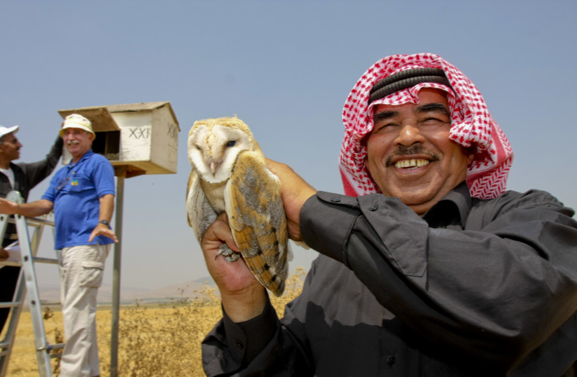Jordanian farmer holding Barn Owl in Kibbutz Sde Eliyahu, Israel, June 13th 2010  (credit: HAGAI AHARON)