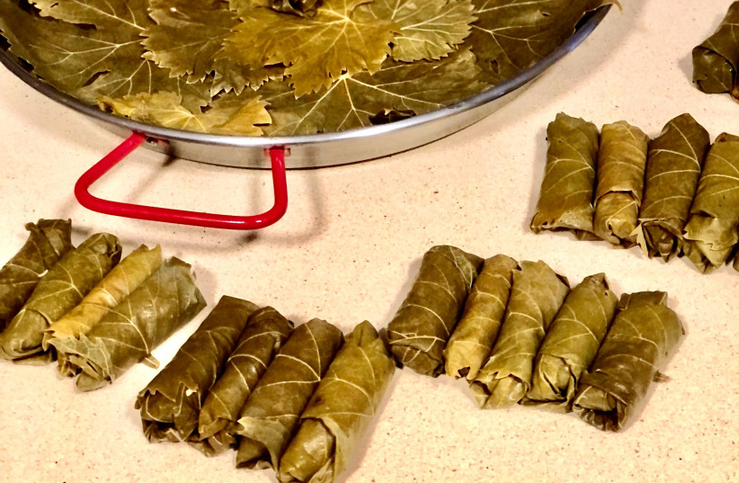  Stuffed grape leaves with beef and rice (photo credit: PASCALE PEREZ-RUBIN)
