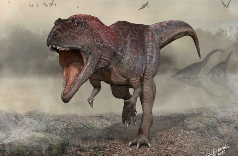  An artist's reconstruction of the Cretaceous Period meat-eating dinosaur Meraxes gigas. (credit: Carlos Papolio/Handout via REUTERS)