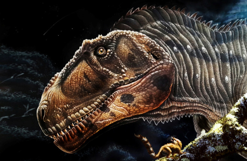  An artist's reconstruction of the Cretaceous Period meat-eating dinosaur Meraxes gigas. (credit: Jorge A. Gonzalez/Handout via REUTERS)