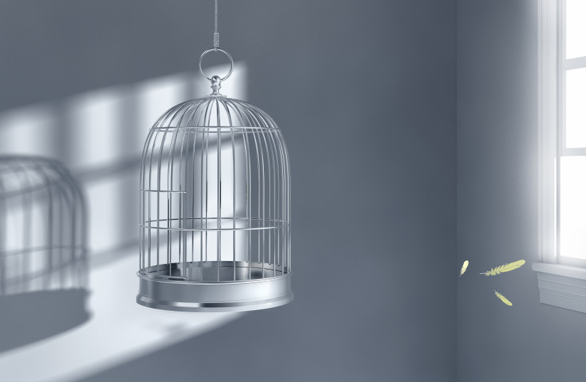 Empty birdcage  (photo credit: Tetra Images)