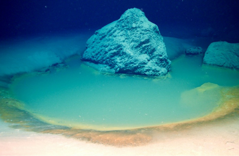  Brine pools are one of the most extreme environments on earth, yet despite their high salinity, exotic chemistry and complete lack of oxygen, these pools are teeming with life. (photo credit: NEOM)