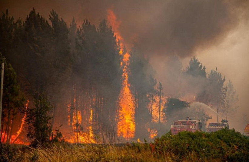 Fires rage in France and Spain as heatwaves sear Europe - Vimarsana News