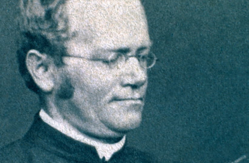  His groundbreaking work was properly recognized only long after his death. Gregor Mendel (photo credit: SCIENCE PHOTO LIBRARY)