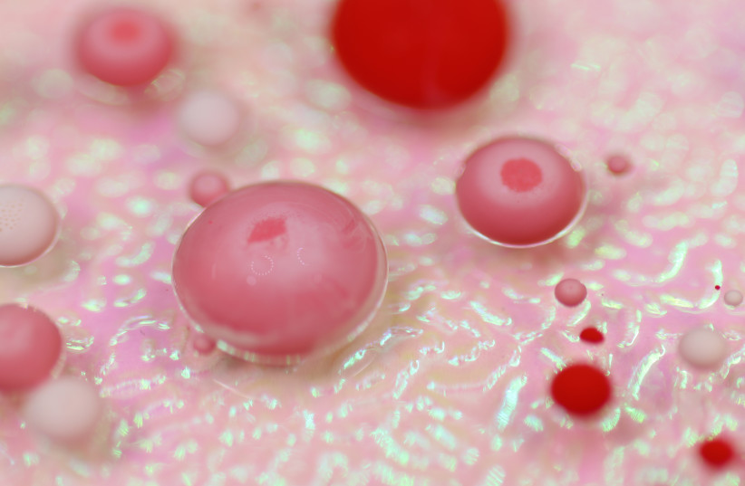  Macrophages, white blood cells (credit: fly:d/unsplash)