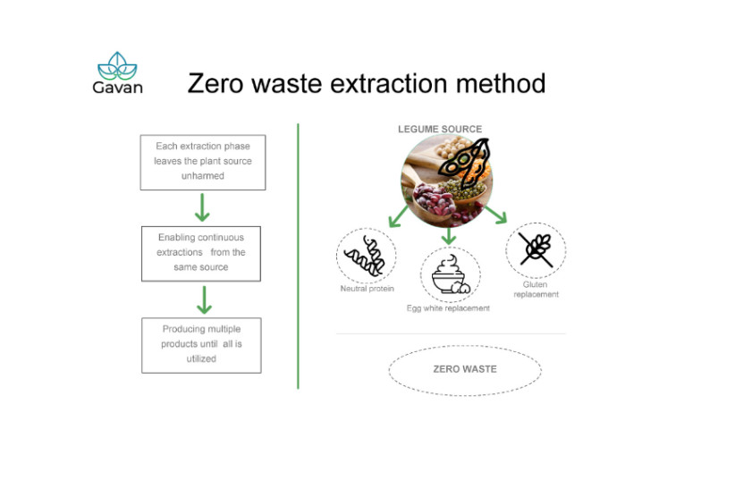  Infographic demonstrating the protein extraction process.  (credit: GAVAN TECHNOLOGIES)
